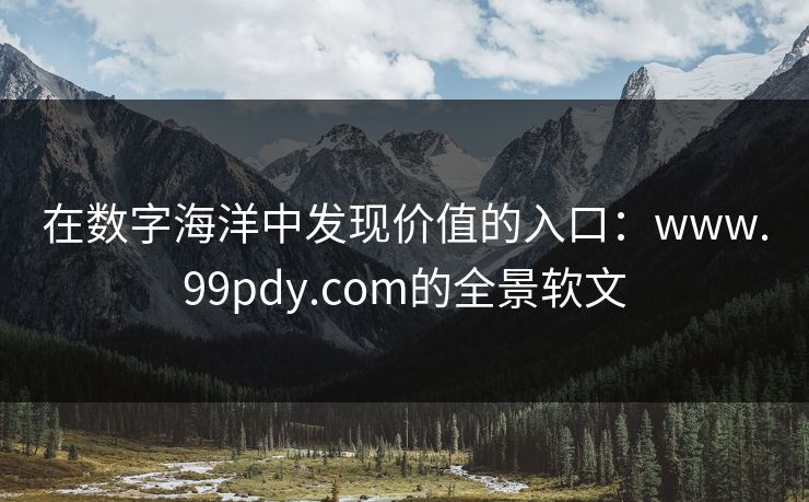在数字海洋中发现价值的入口：www.99pdy.com的全景软文