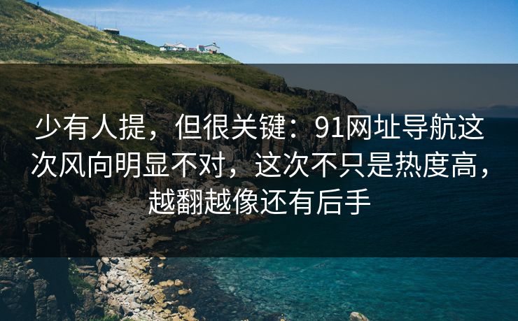 少有人提，但很关键：91网址导航这次风向明显不对，这次不只是热度高，越翻越像还有后手